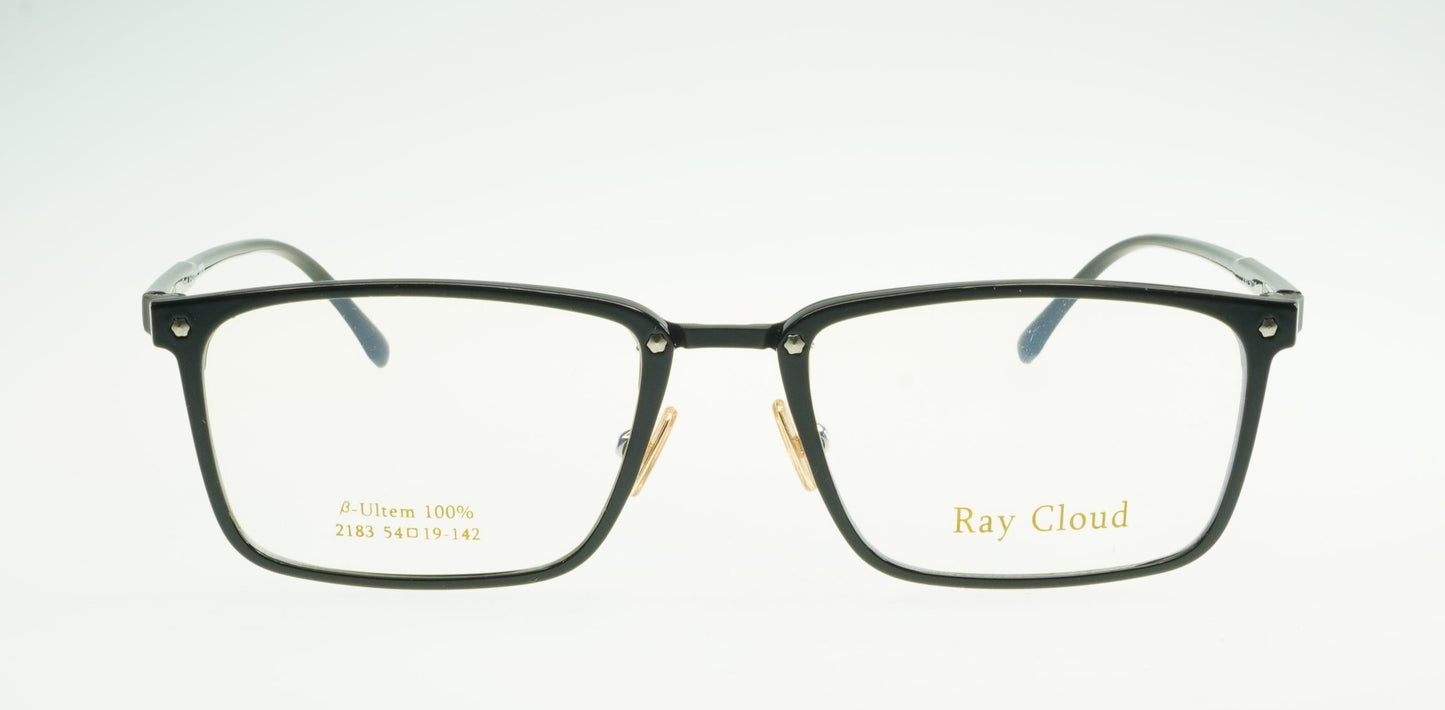 Ray Cloud 2183 color C1/black size 54㎜ 薄い非球面レンズ、ケース、クリーニングクロス付き、送料、税込み