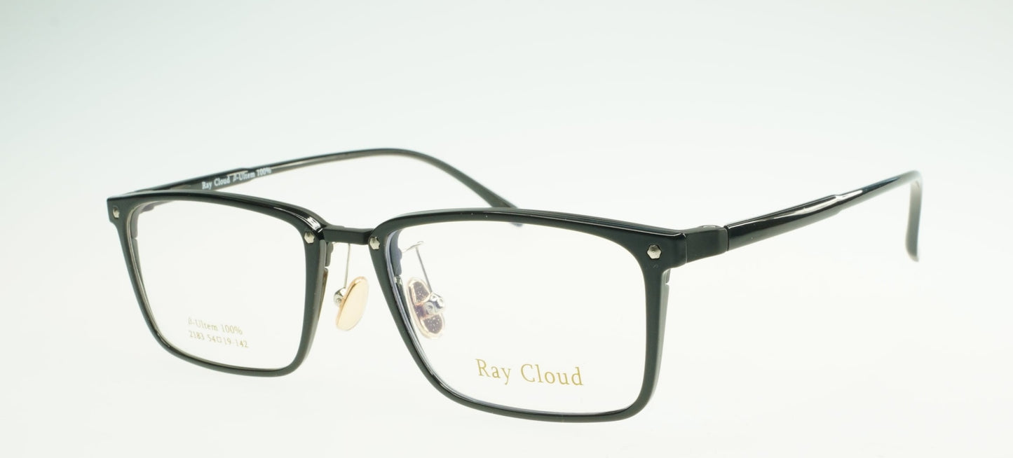 Ray Cloud 2183 color C1/black size 54㎜ 薄い非球面レンズ、ケース、クリーニングクロス付き、送料、税込み
